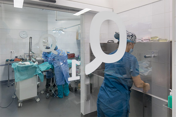Quirófano - Centro de Cirugía Veterinaria