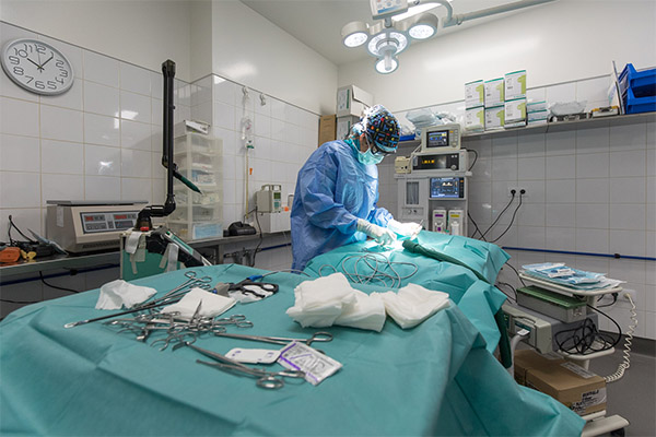 Centro de Cirugía Veterinaria