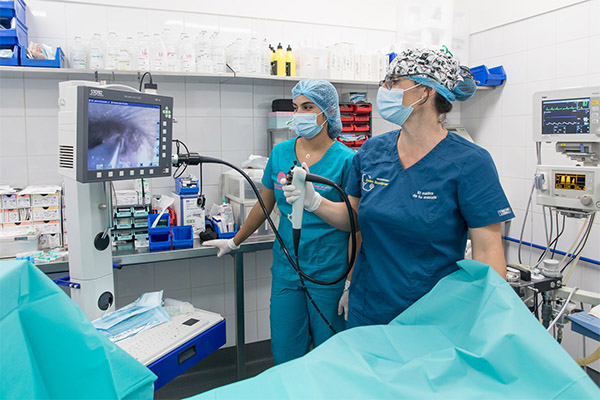 Quirófano - Centro de Cirugía Veterinaria